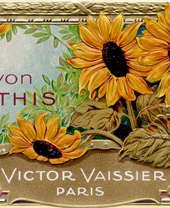 Savon Sunflowers
