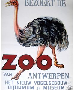 Antwerp Zoo