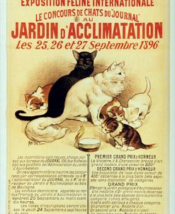 Exposition Feline