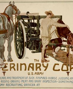 Veterinary Corps