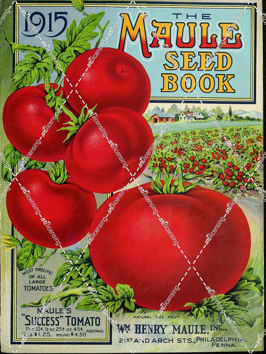 1915 Maule Tomato