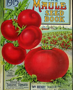 1915 Maule Tomato