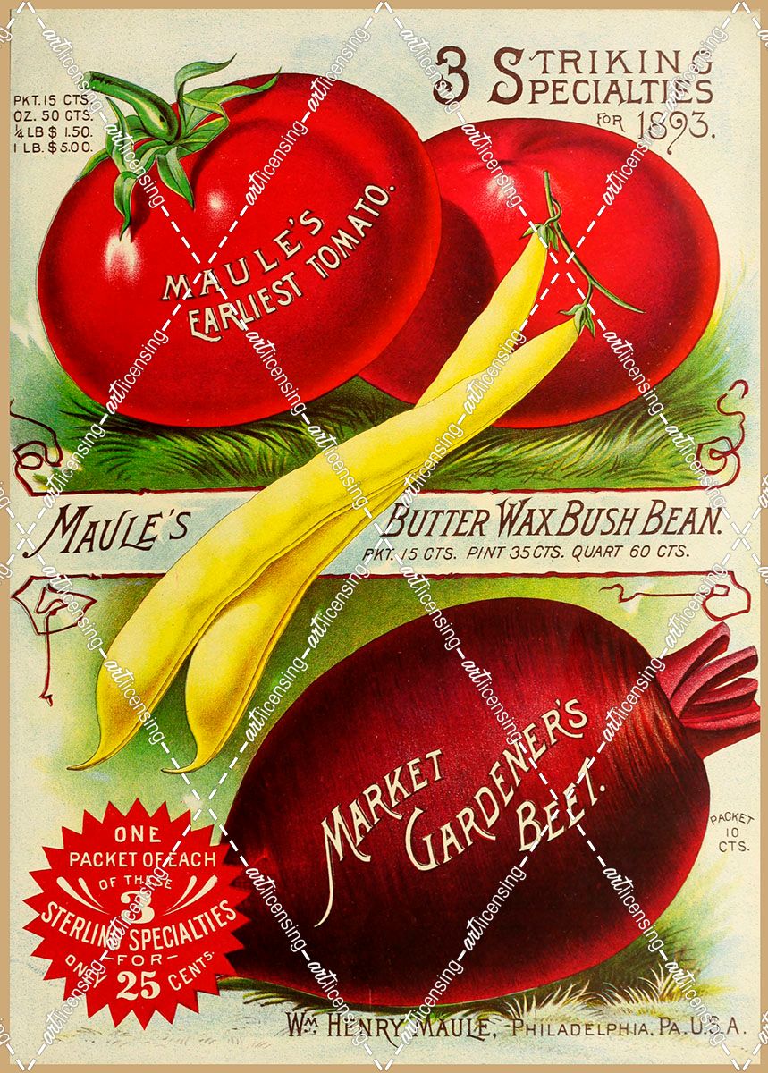 1893 Maule Tomatoes