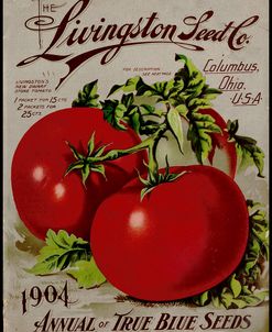 Livingston Tomato