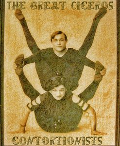 Sideshow Contortionists