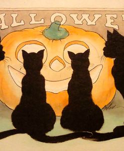 Halloween Black Cats Pumpkin.tif
