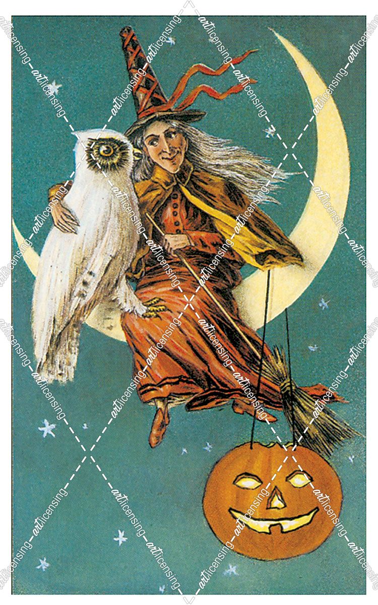 Witch Owl.tif