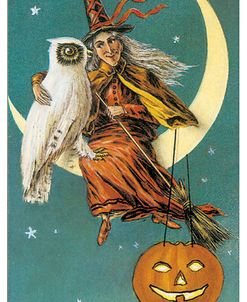 Witch Owl.tif