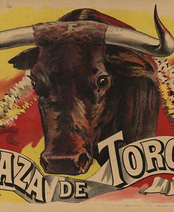 Plaza-De-Toros-1893