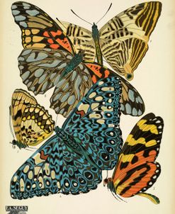 Papillons_3