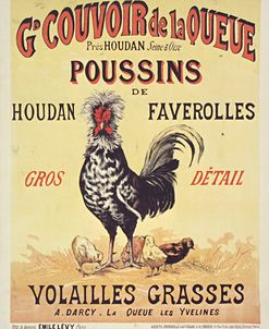 Poussins