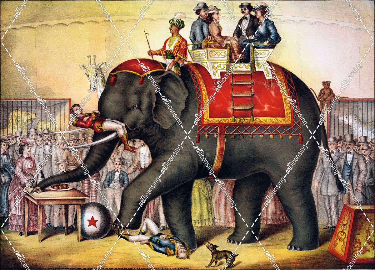 Performing elephant, 1874