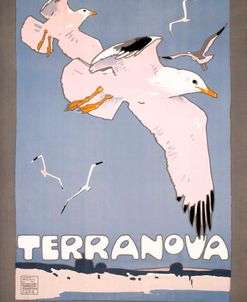 Terranova