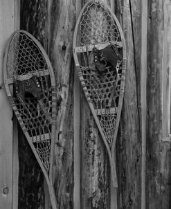 Snowshoes