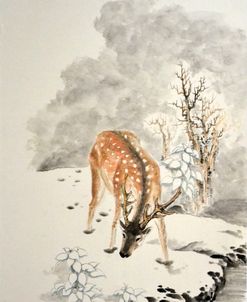 Winter Deer