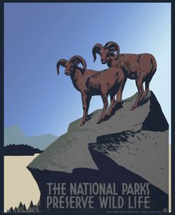 National Parks Wild Life Preserve