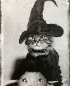 Witchy Cat