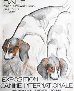 Dog Expo