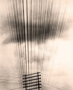 Tina Modotti Telephone Wires