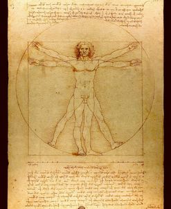 Anatomy 006