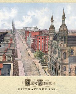 New York 5th Ave 1894