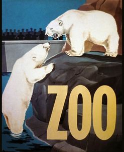 The Zoo 003