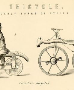 Vintage Horsey Bicycle 1800s