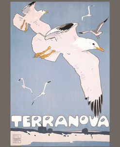 Vintage Terranova ad 1909