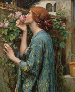 John William Waterhouse the Soul of the Rose 1908