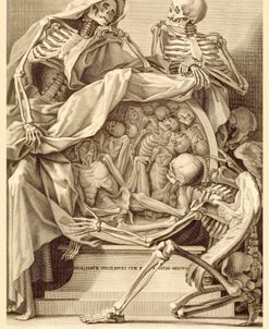 Memento Mori Anatomy Etching 1750