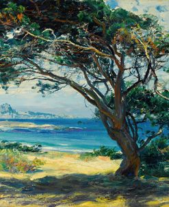 Wind Swept Pines By Guy Rose 1918