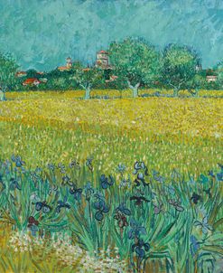 Field With Irises Near Arles Vincent Van Gogh