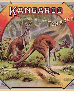 Vintage Kangaroo Tobacco Label
