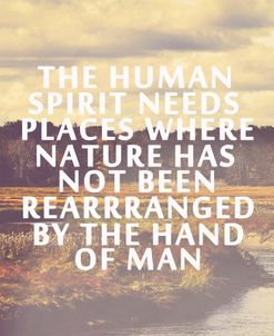 The Human Spirit