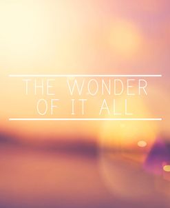 The Wonder