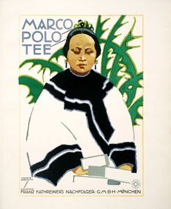 Marco Polo Plant