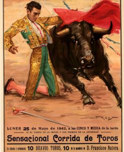 Matador Barcelona I