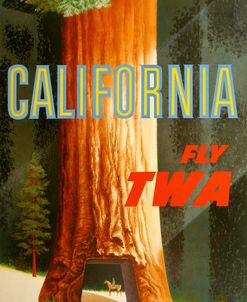 California Redwood TWA 1960 David Klein