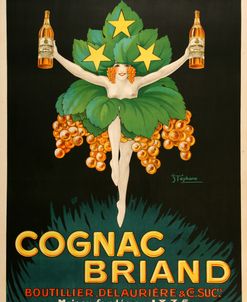 Cognac Briand