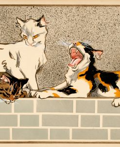 Four cats