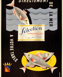 Sardines