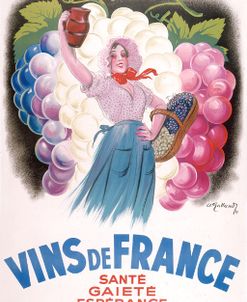 Vins De France-Large