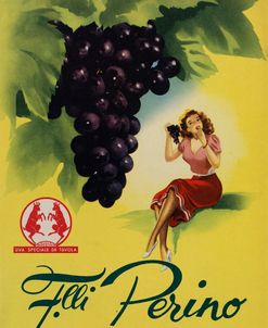 Perino – Grapes
