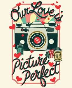 Picture Perfect