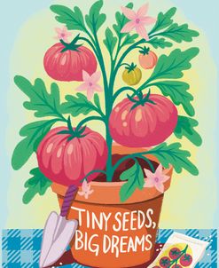Heirloom Tomatoes – Tiny Seeds Big Dreams