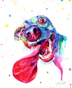 Colorful Dog Tongue Out