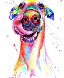 Attractive And Colorful Dog Sticking Tongue Out