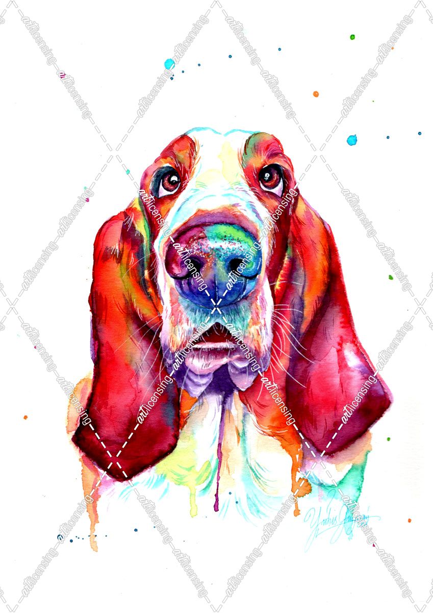Colorful Portrait Of Basset Hound Dog