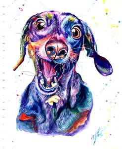 Colorful Portrait Of Catcher Dog