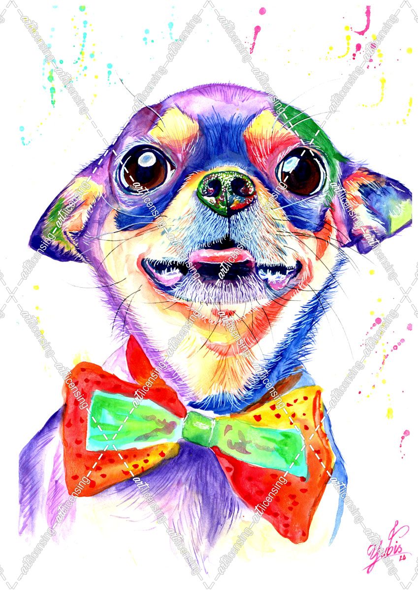Colorful Portrait Of Chihuahua